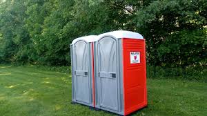 Best Standard Portable Toilet Rental  in Swanton, OH